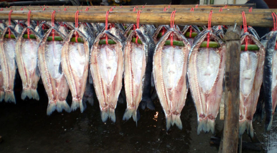 �~�����������г���C��ʹ��